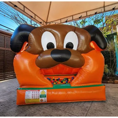 Piscina de bolinha do cachorro da Top Kids Evento